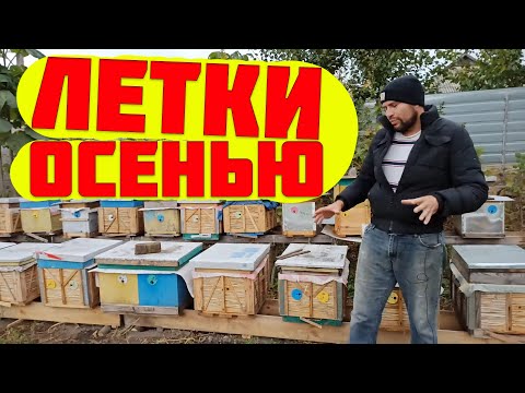 Видео: Какие летки открывать или закрывать в ульях осенью.