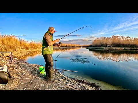 Видео: Нічна РИБАЛКА на річці СУЛА! Клюють ЛЯЩІ ЛОПАТИ!!!
