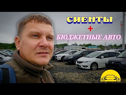 Видео: #АВТОРЫНОК СИЕНТЫ И БЮДЖЕТНЫЕ АВТО