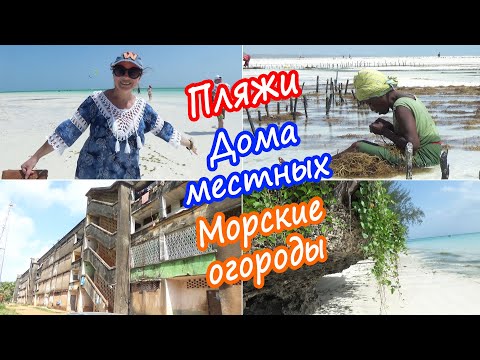 Видео: Пляжи Занзибара - Джамбиани, Падже, Кизимкази - какой лучше? Как живут местные? И Морские огороды!
