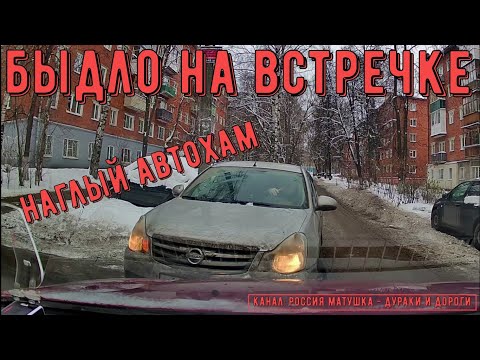 Видео: Быдло на встречке #149! Подборка на видеорегистратор!