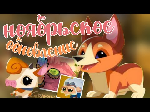 Видео: НОЯБРЬСКОЕ ОБНОВЛЕНИЕ в Animal Jam 🐶