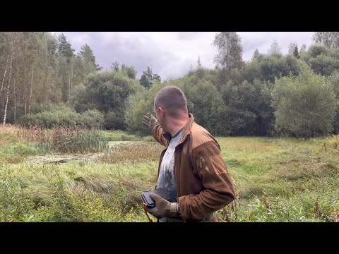 Видео: МОНЕТНЫЙ КОП !!! Много царской монеты !!!  НОВОЕ МЕСТО ПРИНЕСЛО МНОЖЕСТВО МОНЕТ !!! 