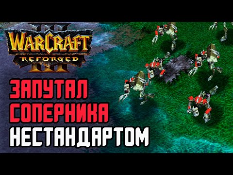 Видео: ЗАПУТАЛ СОПЕРНИКА НЕСТАНДАРТОМ: Sheik (Ud) vs Starbuck (Hum) Warcraft 3 Reforged