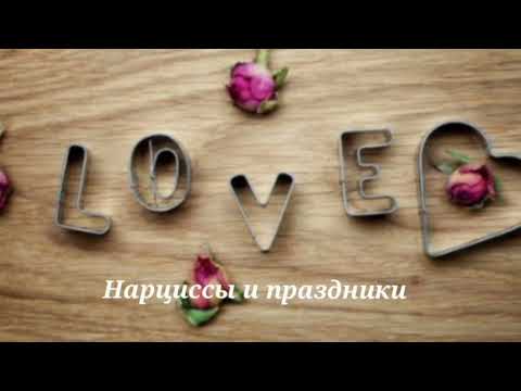Видео: Нарциссы и праздники #нарцисс #нарциссы #нрл @schastie_esc
