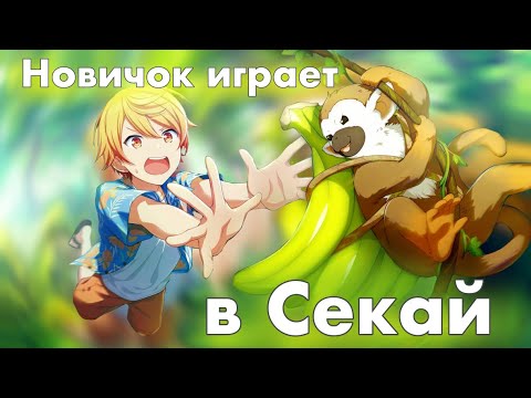 Видео: Новичок играет в секай или 4 минуты позора