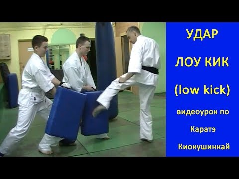Видео: УРОКИ Каратэ Киокушинкай - Удар Лоу Кик ( low kick ) урок № 13