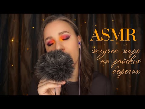 Видео: АСМР ИСТОРИИ 🌊 НЕидеально Идеальное Эль-Нидо || ASMR Close Whisper