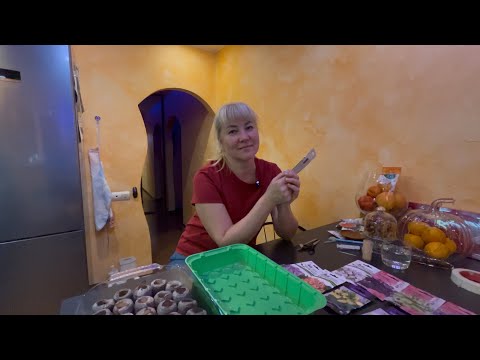 Видео: Посадили Эустомы/Сезон 2026 начинается 🌷🌸🌻🌹