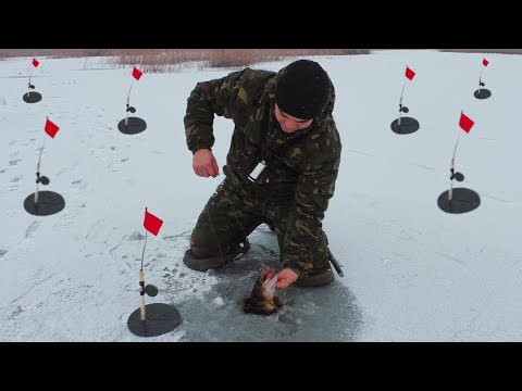 Видео: ЗИМОВА РИБАЛКА 2025! ЛОВЛЯ ЩУКИ на ЖЕРЛИЦІ! ОКУНЬ на ЛІСОТКИ і БЛЕШНІ!