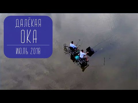 Видео: Рыбалка на Оке летом. Рыба клюет! Раскачали точку.