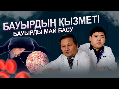 Видео: Бауырдың қызметі, Бауырды Май басу,  Бауырдың  қалпына  келуі.  | #ШИПАГЕР