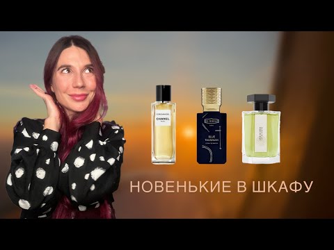 Видео: Новинки моего шкафа и заказ с Orental
