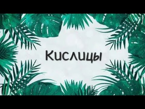 Видео: Небольшой обзор на мои сорта кислиц 🤗