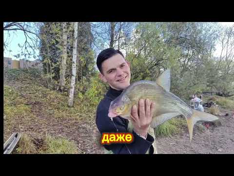 Видео: 26 октября 2025 г.