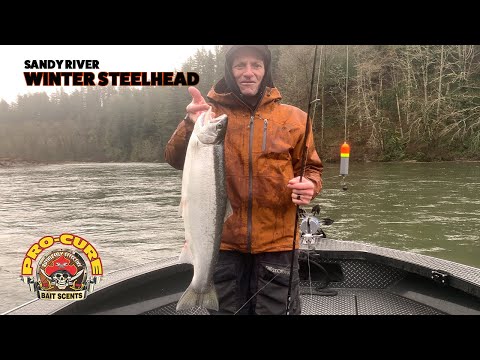 Видео: Зимняя рыбалка на стальноголового лосося на реке Сэнди
