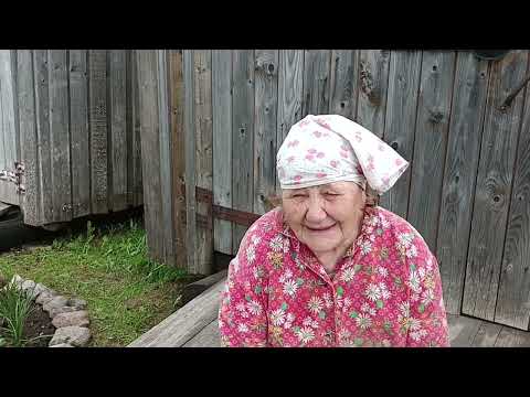 Видео: Мульчирую томаты, чистим грядки, а лук то вымок.