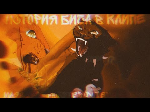 Видео: Коты воители - История Бича [В КЛИПЕ] (Mag & Dia - Monster(DotEXE Remix)