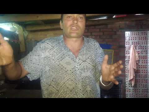 Видео: СЛУЧИЛИ КРОЛЬЧИХУ... И НАЧАЛОСЬ!!!