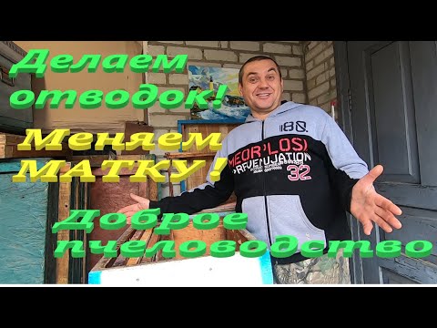 Видео: Пасека с нуля №6! Как сделать ОТВОДОК на слёт и однорамочный облётник! ЗАМЕНА МАТОК В ОСНОВНОЙ СЕМЬЕ
