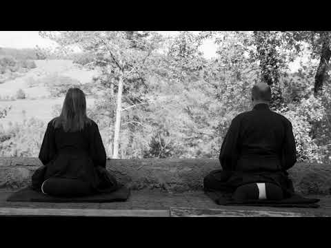 Видео: Осознанная медитация в повседневной жизни. Часть 2