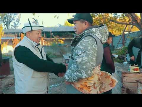 Видео: Аш той Ноокен 773411214 700411214