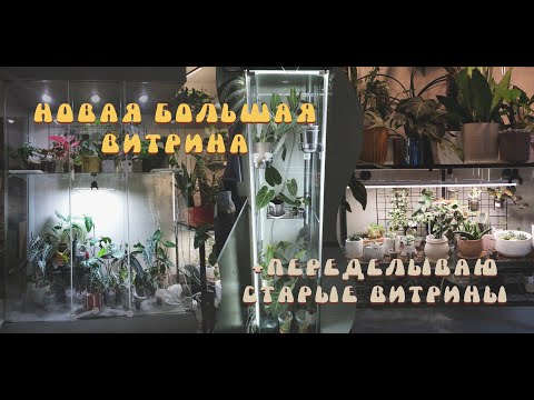 Видео: Новая БОЛЬШАЯ ВИТРИНА💚I Переделываю старые витрины