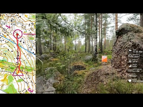 Видео: Спортивное ориентирование (headcam orienteering) - Камни Карельского Перешейка 2022 лонг 14.06.22