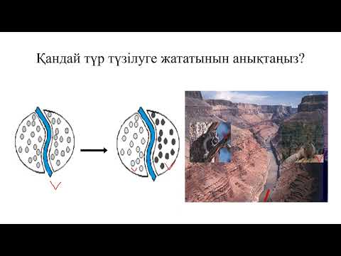 Видео: 10_класс_Биология_3_токсан_Түр түзілу Түр түзілу механизмі