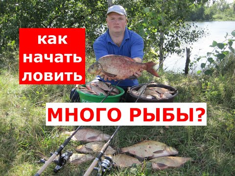 Видео: Как поймать МНОГО РЫБЫ? Как ГАРАНТИРОВАТЬ себе УЛОВ? Секреты ТАКТИКИ и ТЕХНИКИ ловли рыбы