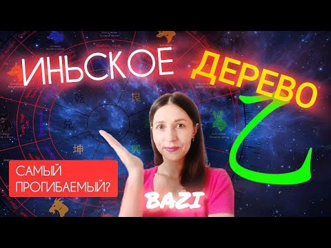 Видео: Иньское дерево. Что это за люди? Как им прийти к успеху? Астрология Бацзы.