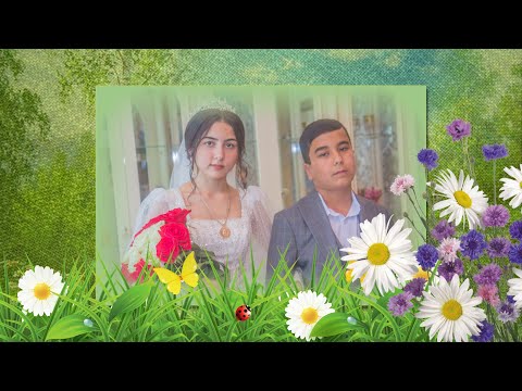 Видео: 2 июля 23 перезва Соломона и Фатимы.