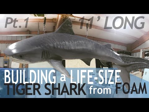 Видео: Резьба по пенопласту «Тигровая акула» — мастер-класс, часть 1