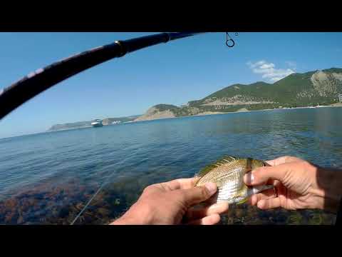 Видео: Рыбалка на море в Анапе. Большой Утриш. Rockfish.