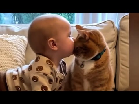 Видео: Милейшие моменты с малышами и кошками 😹💕 Подборка забавных и очаровательных домашних видеоклипов