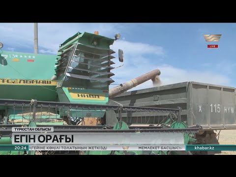 Видео: Биыл Түркістан облысында 500 мың тонна астық жинау жоспарланып отыр