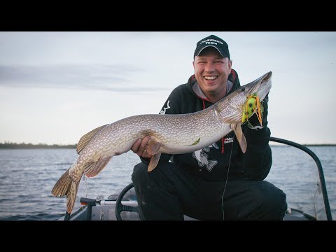 Видео: Часть II. Уловистые и недооценённые у нас топвотеры. The best surface lures!