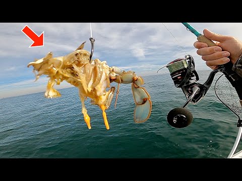 Видео: Ловля синего краба! на прибрежных рифах... *УДИВИТЕЛЬНЫЕ результаты*