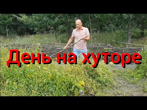 Видео: Новая серия , новый день , а работа старая . Но даже старого супа нет.Отмостка , венец в сарае .