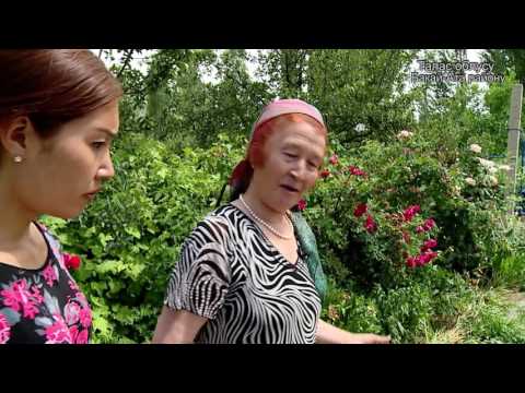 Видео: Айыл Окмоту: Боо-Терек. Бакай-Ата. Талас