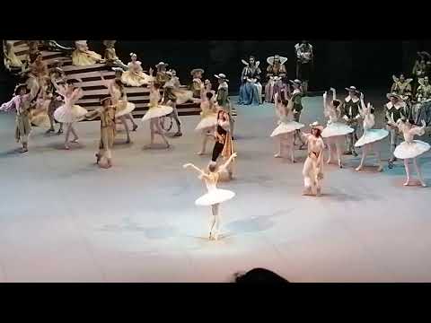 Видео: Спящая красавица 1 ноя вечер 2025