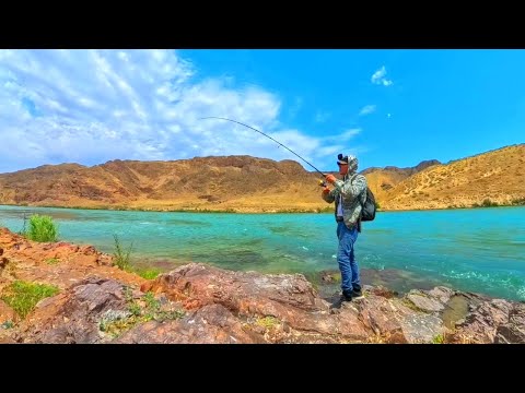 Видео: ЖЕРЕХ на СКАЛАХ Реки ИЛИ. Рыбалка на спиннинг с приключениями.