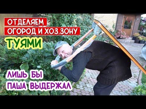 Видео: Надоел бардак. Отделяем теплицу и хоз. зону! Как всегда: Паша работает, я снимаю 😁