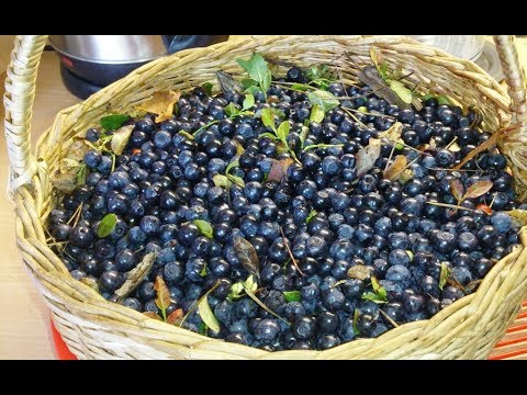 Видео: Варенье - желе из черники . Эп. №130 Быстрое черничное варенье.