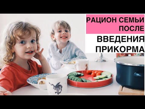 Видео: РАЦИОН СЕМЬИ ПОСЛЕ ВВЕДЕНИЯ ПРИКОРМА - Лекция Марии Кардаковой