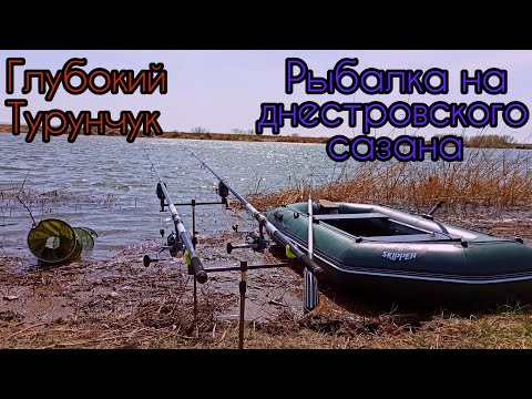 Видео: Рыбалка на Глубоком Турунчуке.Днестровский сазан на горох#рыбалка2024#сазан#Турунчук#горох