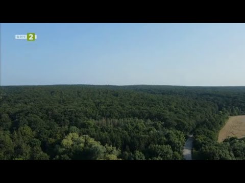 Видео: Омаята на кулинарното наследство, №1 Туризмът - 08.10.2023