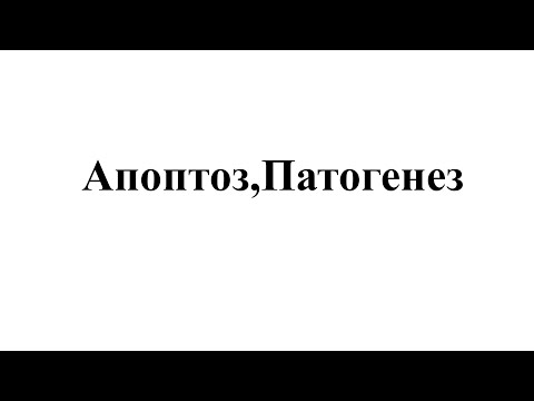 Видео: Апоптоз,патогенез жалпы патофизиология сабағының екінші бөлімі✅🐇