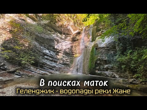 Видео: В поисках маток муравьев. Геленджик - водопады реки Жане.