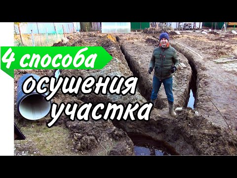 Видео: Дренажные системы: популярные способы осушить участок